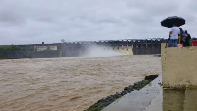 गंगा शारदा का रौद्र रूप यूपी के कई जिले बाढ़ की