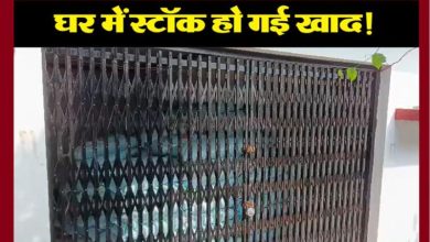 छापे में मिली भारी मात्रा में खाद मैनेजर सस्पेंड दो