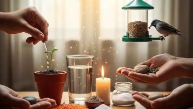 छोटे छोटे उपायों से करें ग्रहों की शांति बिना खर्च और