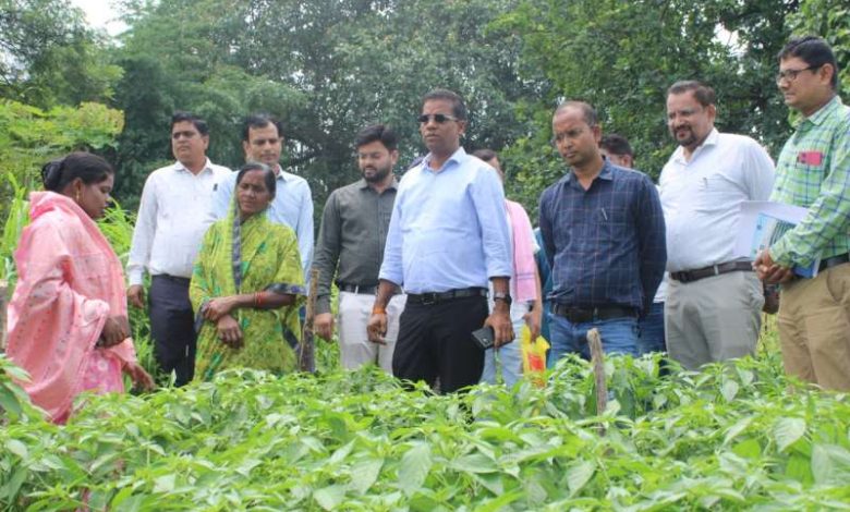 जैविक खेती से आत्मनिर्भरता की ओर महिला किसान गोपिका प्रधान