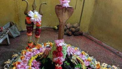 त्रेतायुगीन धरोहर ‘लक्ष्मणेश्वर महादेव मंदिर बना धार्मिक पर्यटन का केंद्र