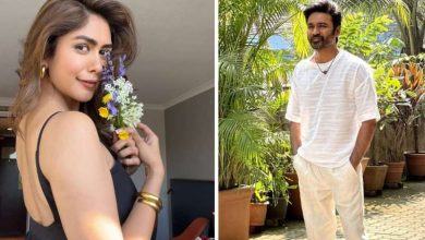धनुष का दिल मृणाल पर आया अफेयर की खबरों पर