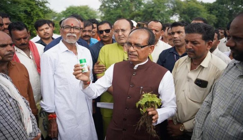 नेता से किसान बने शिवराज सिंह खेतों में उगा रहे