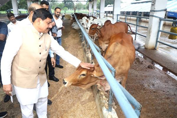 पशुपालन से किसानों की बढ़ेगी आय, बनेंगे आत्मनिर्भर 1 पशुपालन से किसानों की बढ़ेगी आय बनेंगे आत्मनिर्भर