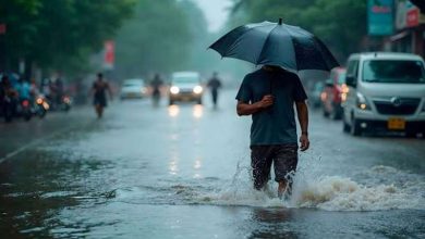 बंगाल की खाड़ी में कई सिस्टम एक्टिव 11 12 13