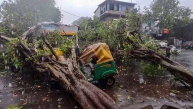 बाराबंकी हादसा — बस पर गिरा पेड़ सरकार ने दिए