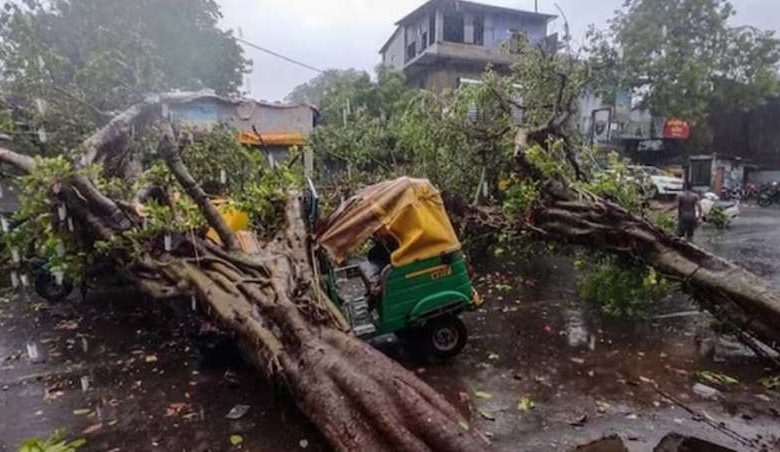 बाराबंकी हादसा — बस पर गिरा पेड़ सरकार ने दिए