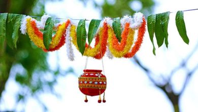 मटकी फोड़ से लेकर कृष्ण लीला तक… उदयपुर में जन्माष्टमी