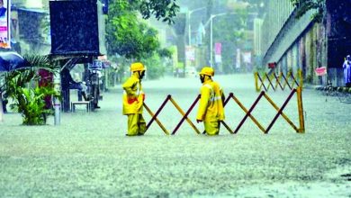 मुंबई जलमग्न ट्रेनें फ्लाइट्स ठप 14 की मौत