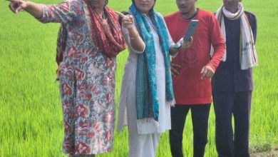 मुख्यमंत्री के निर्देश पर रायपुर जिले में किया जा रहा