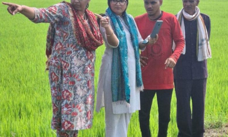 मुख्यमंत्री के निर्देश पर रायपुर जिले में किया जा रहा