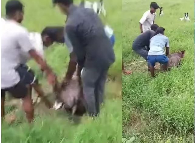 राजनीतिक रसूख के आगे बेबस जंगल BJP नेता के करीबी