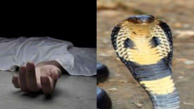 रास्ता नहीं सुविधा नहीं—ओडिशा के गांव में बुनियादी ढांचे की