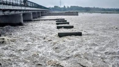 लगातार बारिश से यमुना उफान पर गांवों में जलभराव से