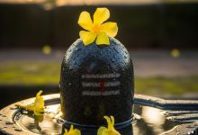 शिवलिंग के पास रखा दिखे पीला फूल तो भूलकर भी