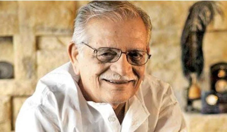 सिर्फ गीतकार ही नहीं बेहतरीन निर्देशक और लेखक भी हैं