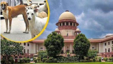 सुप्रीम कोर्ट आदेश के खिलाफ इंदौर में पालतू प्रेमियों का