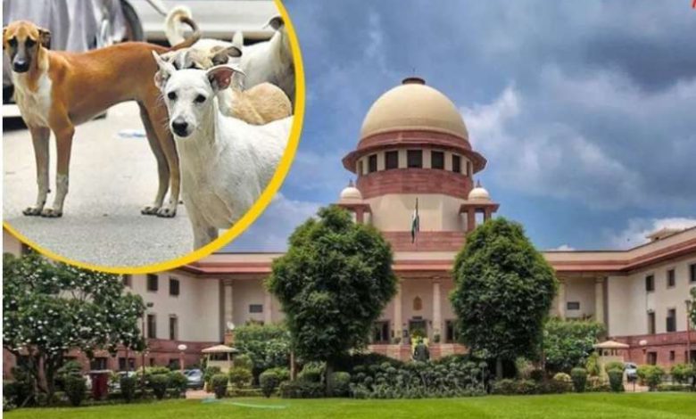 सुप्रीम कोर्ट आदेश के खिलाफ इंदौर में पालतू प्रेमियों का