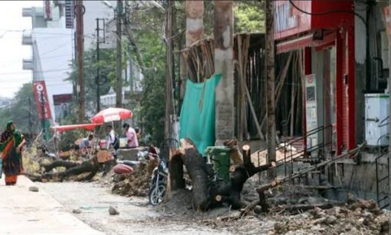 Bhopal: कोलार रोड पर पेड़ काटने पर NGT की आपत्ति, सिक्सलेन निर्माण में 4105 पेड़ काटे, 2 सप्ताह में मांगी रिपोर्ट 1 Screenshot 20250916 234604.Chrome28129