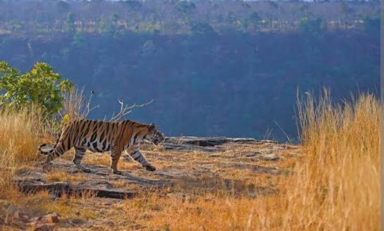 Screenshot 20250917 200438.Chrome28129