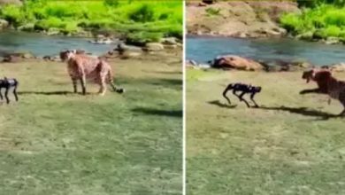 Screenshot 20250920 234757.Chrome28129