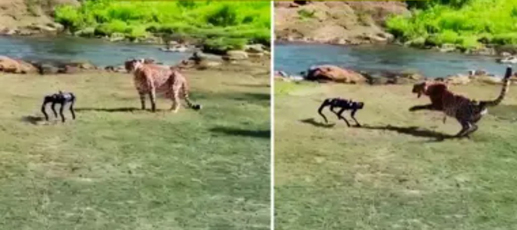 Screenshot 20250920 234757.Chrome28129