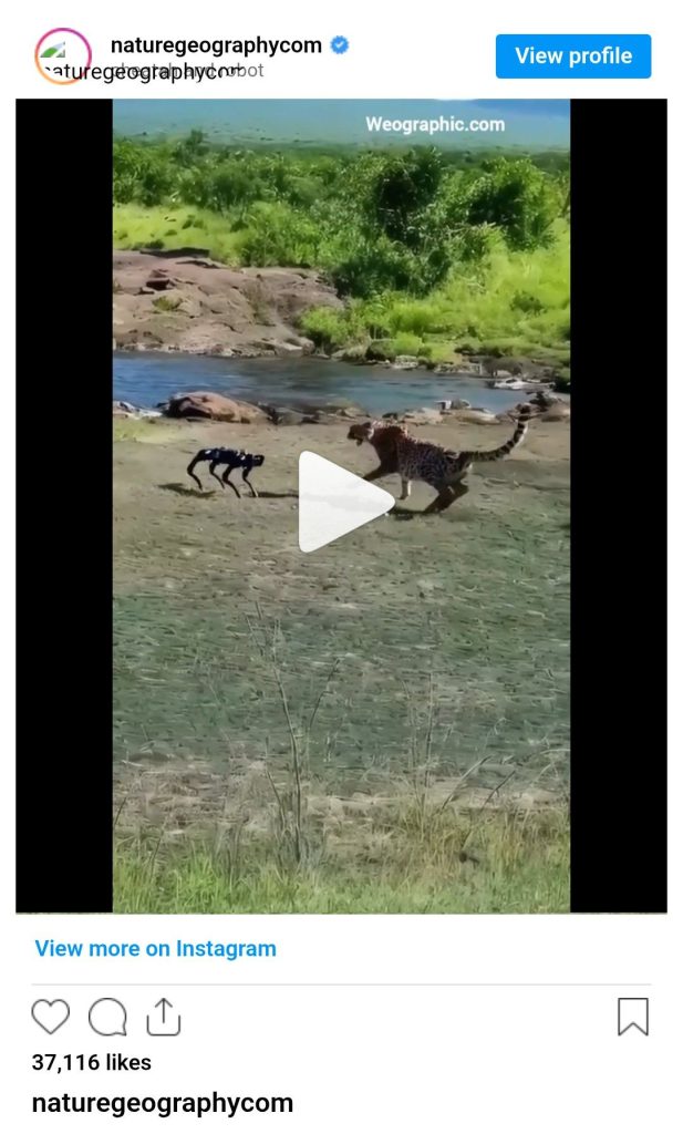 screenshot 20250920 2349097353738359436737859