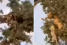 Screenshot 20251016 114515.Chrome28129