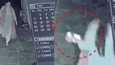 Screenshot 20251029 193504.InShot28129