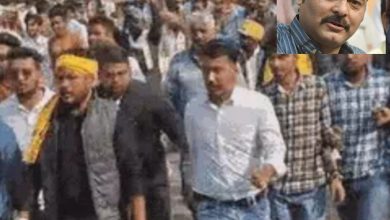 InShot 20251119 20410736028129