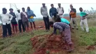 Screenshot 20251104 110512.Chrome28129