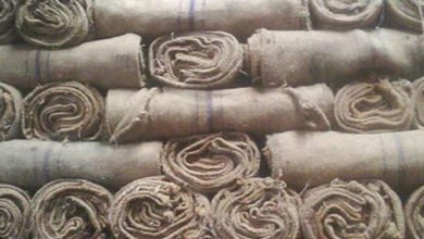 MP : करोड़ों का बारदाना खा गए अफसर, 8 साल तक चला घोटाला, जांच के घेरे में सहकारिता विभाग 143 प्रशासक और निरीक्षक 5 Screenshot 20251105 235731.Chrome28129