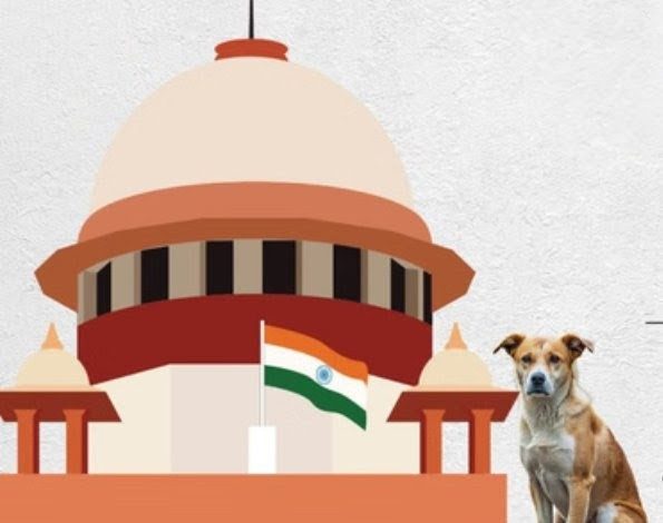 Screenshot 20251107 143111.Chrome28129