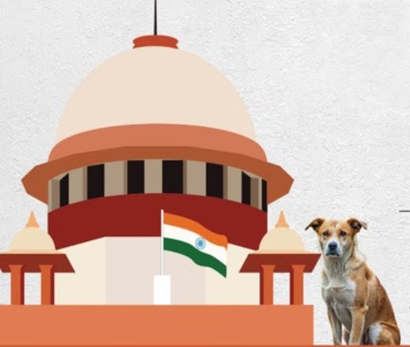 Street Dog Case: 'आवारा पशुओं को सड़कों-हाईवे से हटाएं', सुप्रीम कोर्ट का राज्यों-NHAI और निकायों को निर्देश 6 Screenshot 20251107 143111.Chrome28129