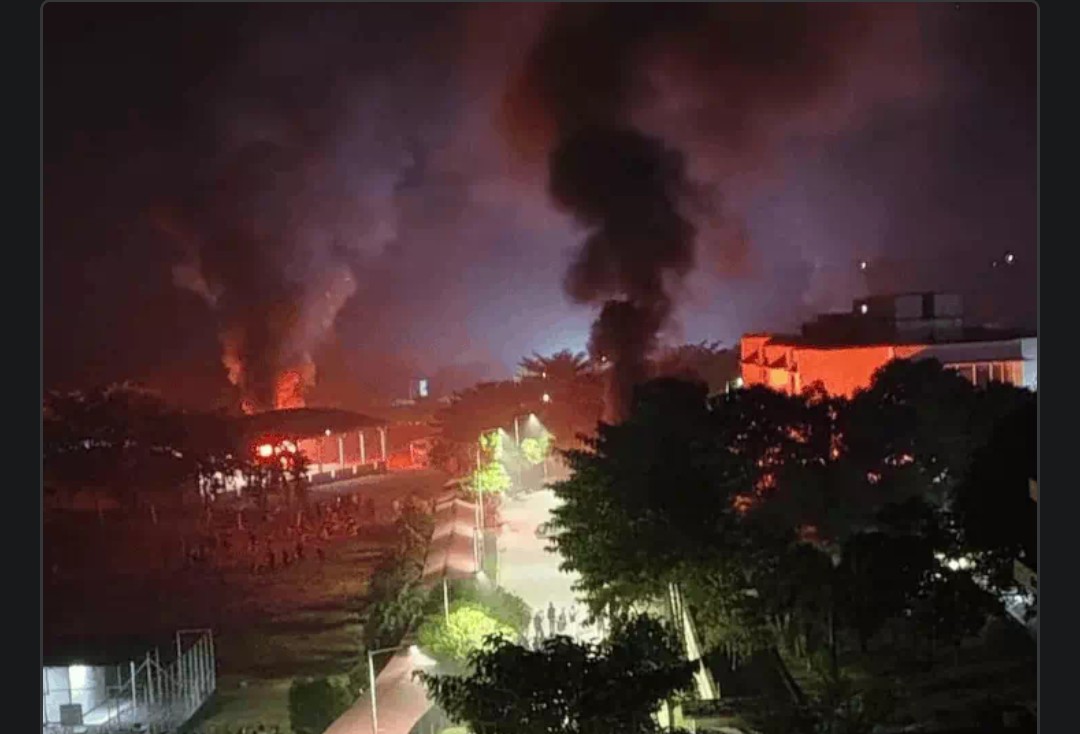 Screenshot 20251126 115056.DainikBhaskar28129