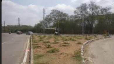 Screenshot 20251205 152953.Chrome28129