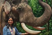 Screenshot 20251212 000024.Chrome28129