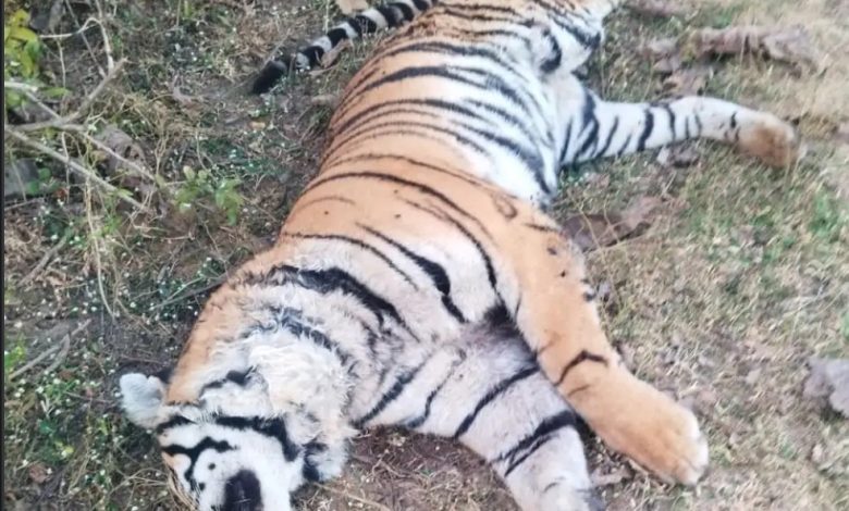 Screenshot 20251212 160102.DainikBhaskar28129