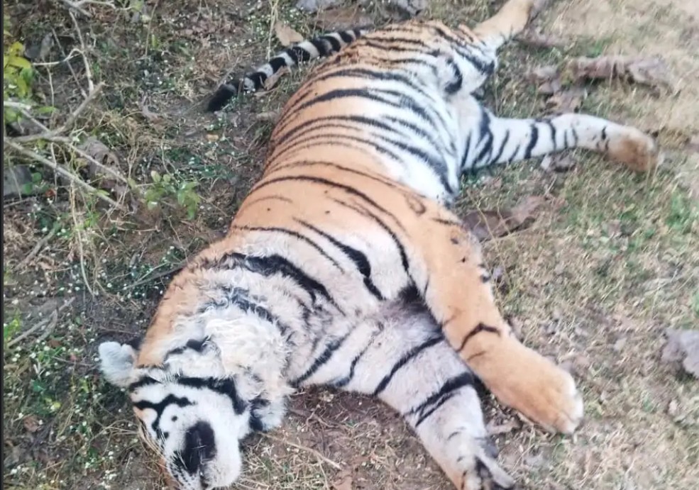 Screenshot 20251212 160102.DainikBhaskar28129