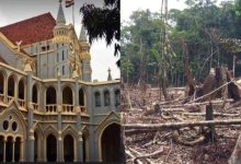 MP : पेड़ों की कटाई पर जबलपुर हाईकोर्ट सख्त, सिंगरौली केस पर कहा- मुआवजा सरकारी खजाने में, ऑक्सीजन का जिम्मेदार कौन 2 Screenshot 20251218 142244.InShot28129