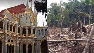 MP : पेड़ों की कटाई पर जबलपुर हाईकोर्ट सख्त, सिंगरौली केस पर कहा- मुआवजा सरकारी खजाने में, ऑक्सीजन का जिम्मेदार कौन 4 Screenshot 20251218 142244.InShot28129