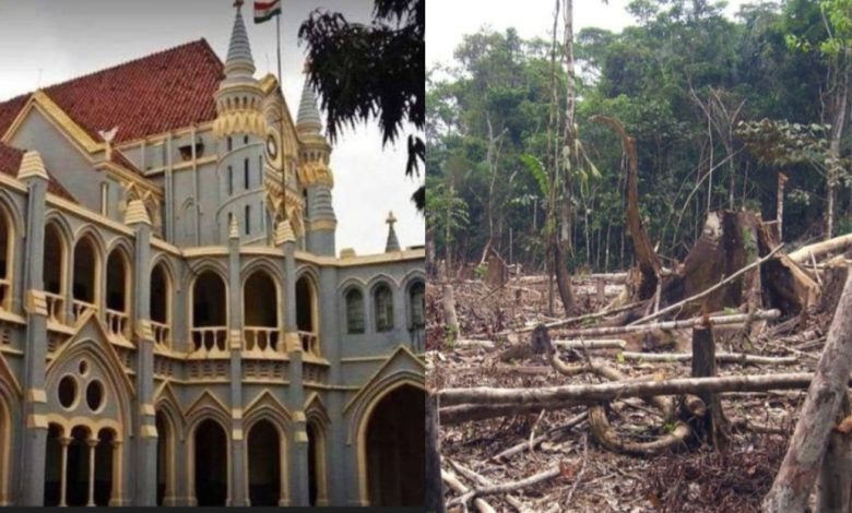 MP : पेड़ों की कटाई पर जबलपुर हाईकोर्ट सख्त, सिंगरौली केस पर कहा- मुआवजा सरकारी खजाने में, ऑक्सीजन का जिम्मेदार कौन 1 Screenshot 20251218 142244.InShot28129