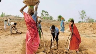 Screenshot 20251220 123814.Chrome28129