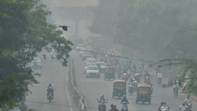 Screenshot 20251220 124113.Chrome28129