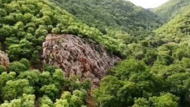 Screenshot 20251221 182355.Chrome28129