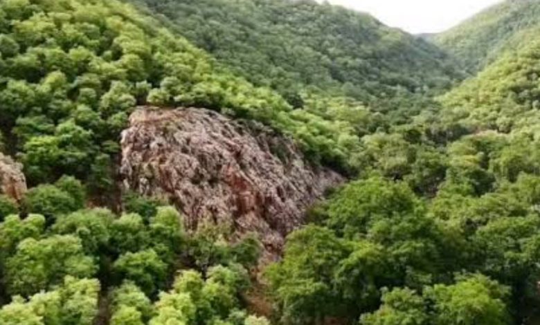 Screenshot 20251221 182355.Chrome28129