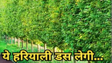 Screenshot 20251222 121458.Chrome28129