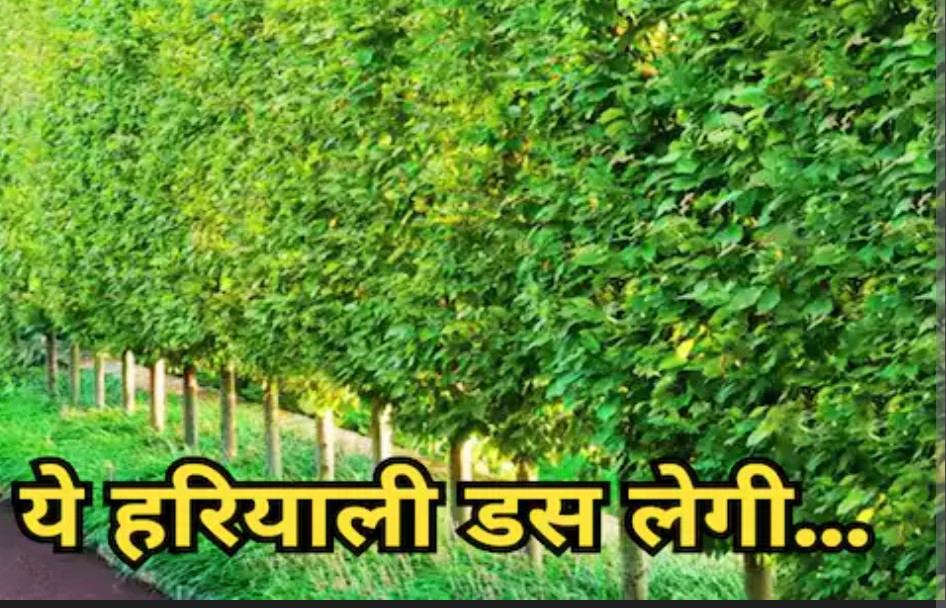 Screenshot 20251222 121458.Chrome28129