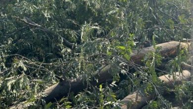 Screenshot 20251226 153136.Chrome28129 1