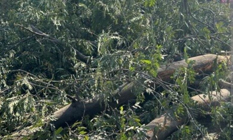 Screenshot 20251226 153136.Chrome28129